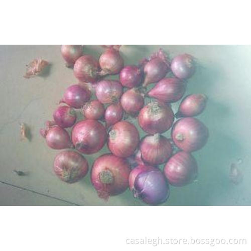 IQF Elongated Red Asian Shallots Full-Flavoured Health Beni